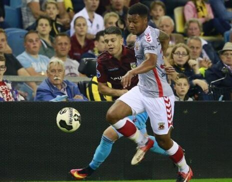 询委员会的 询委员会的