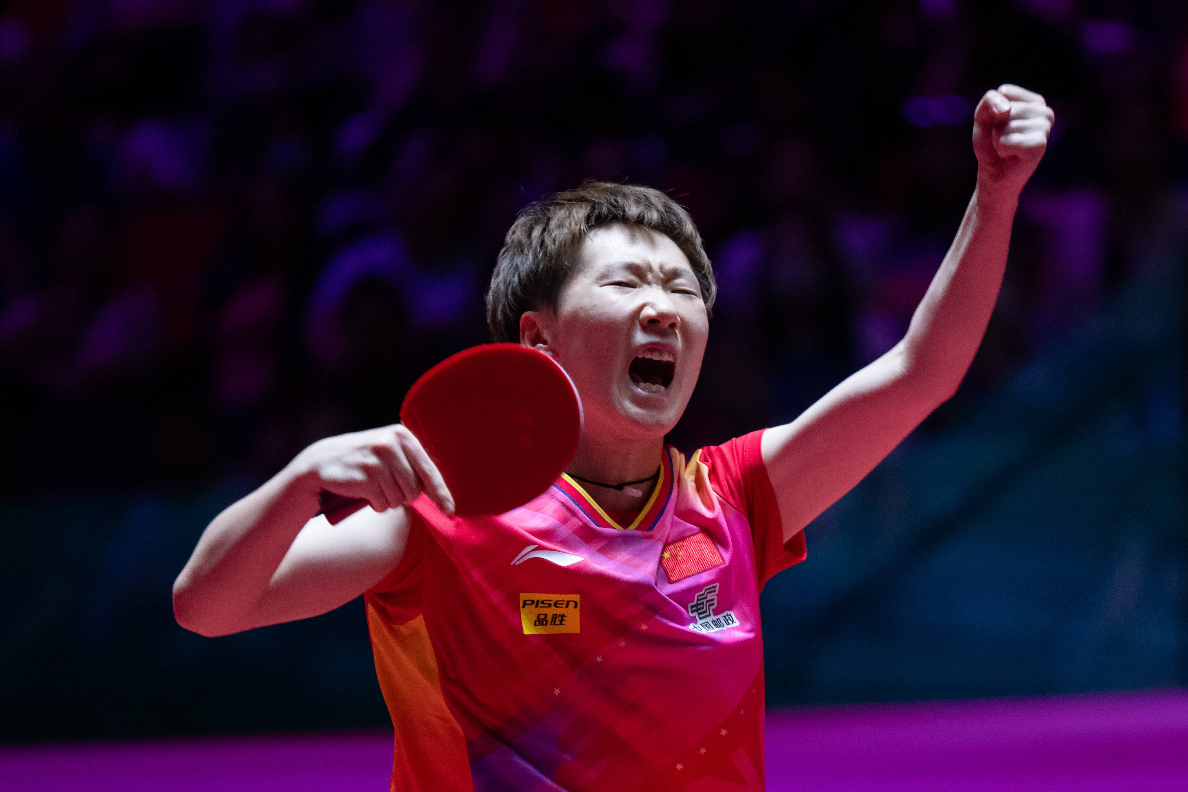 整个系列赛 整个系列赛