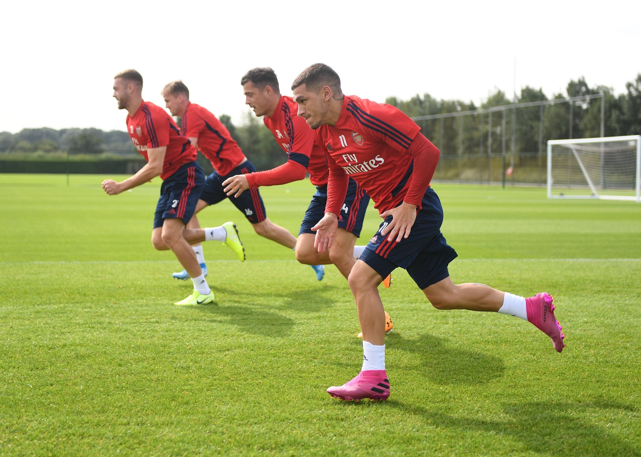 案例进行分